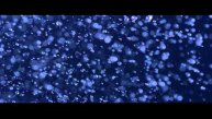 SNBRN & Kerli - Raindrops