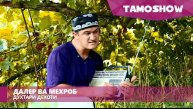 Далер ва Мехроб - Духтари дехоти